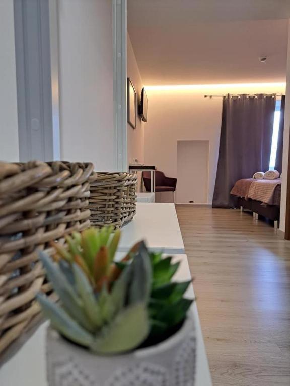 Olhos D' Agua Hotel Alcanena Eksteriør billede